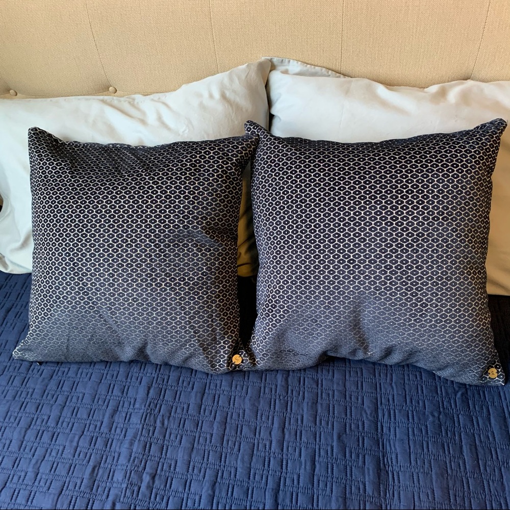 West Elm Pillow Covers